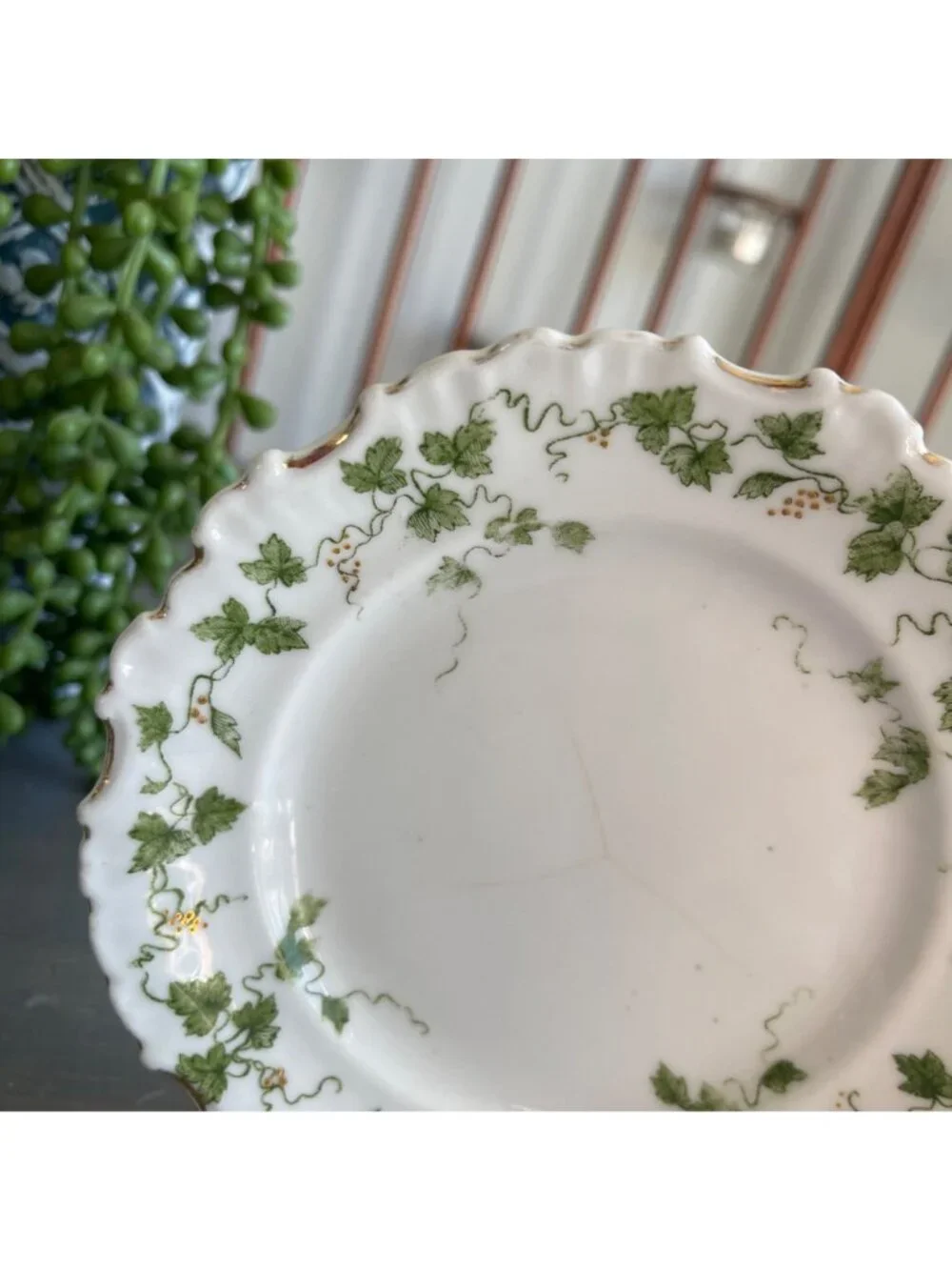 Antique Limoges Salad Dessert Plate Green Ivy Pattern Scalloped Edges